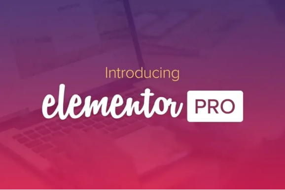 Elemntor-Pro Elementor Pro Website Builder